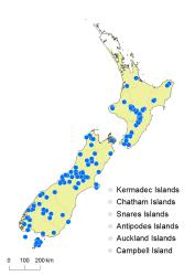 Hymenophyllum peltatum distribution map based on databased records at AK, CHR, OTA and WELT. 
 Image: K. Boardman © Landcare Research 2016 CC BY 3.0 NZ